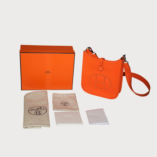 Evelyne 16 Orange With Palladium Hardware In Taurillon Clemmence Leather