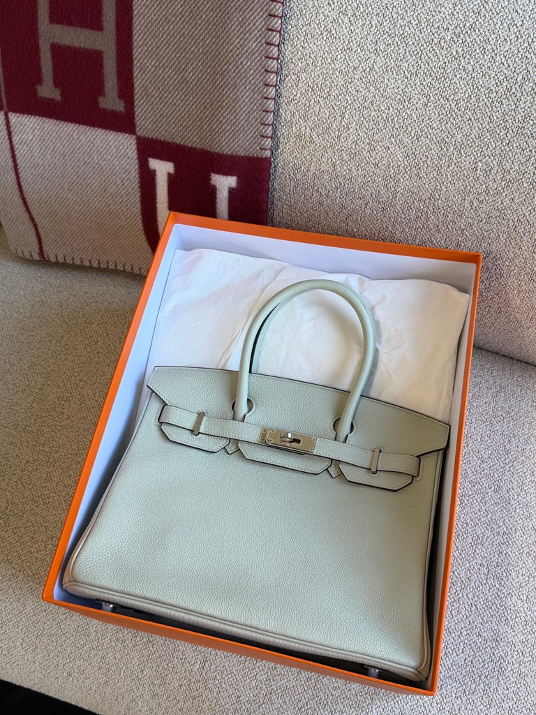 Birkin 30 Gris Neve PHW Togo