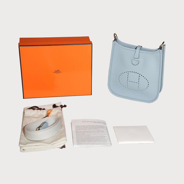 Evelyne 16 Baby Blue With Gold Hardware In Clemmence Leather