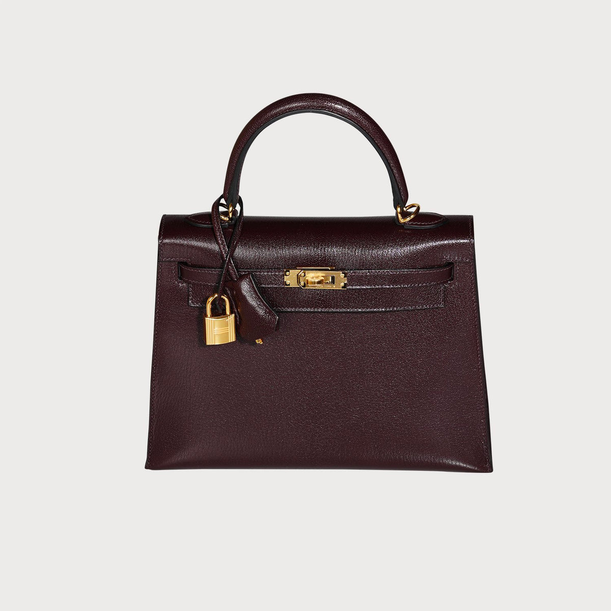 Hermès Hermes Kelly 25 Rouge Sellier Gold Hardware In Chevre Leather - view 8