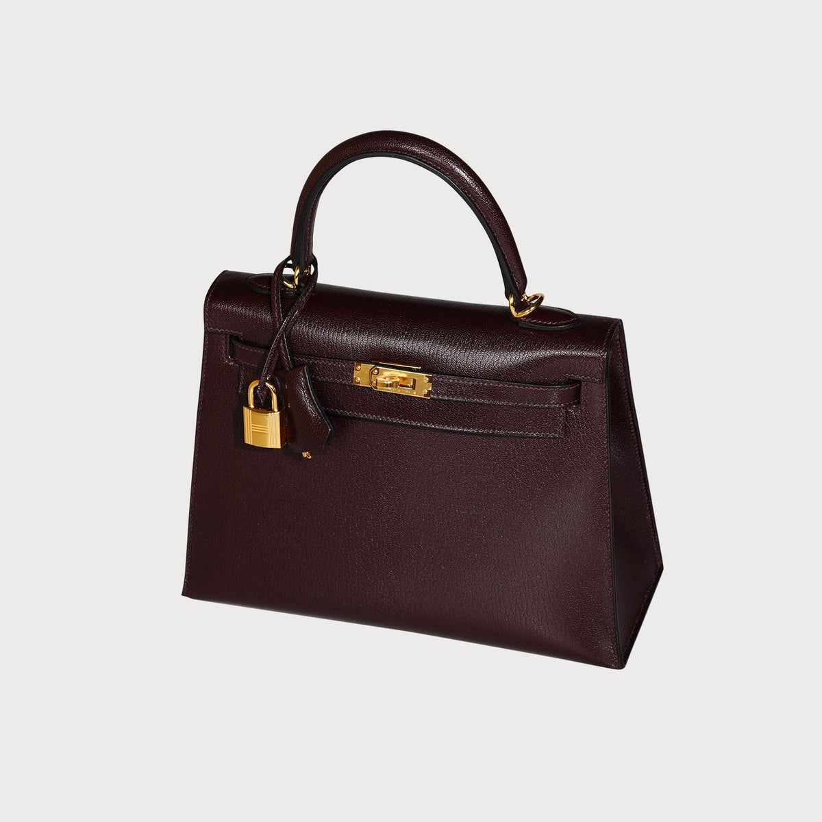Hermès Hermes Kelly 25 Rouge Sellier Gold Hardware In Chevre Leather