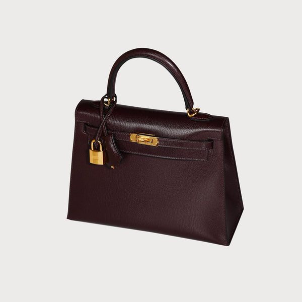 Hermès Hermes Kelly 25 Rouge Sellier Gold Hardware In Chevre Leather