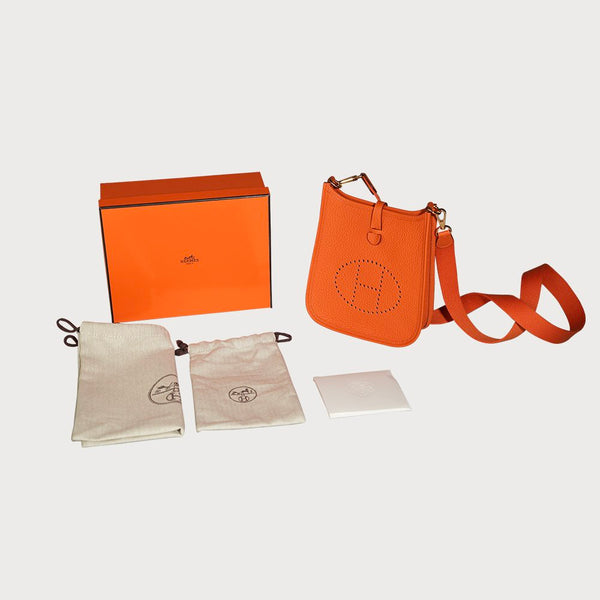 Evelyne 16 Orange With Gold Hardware In Taurillon Clemmence Leather