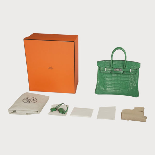 Birkin 25 Matte Crocodile Cactus Phw