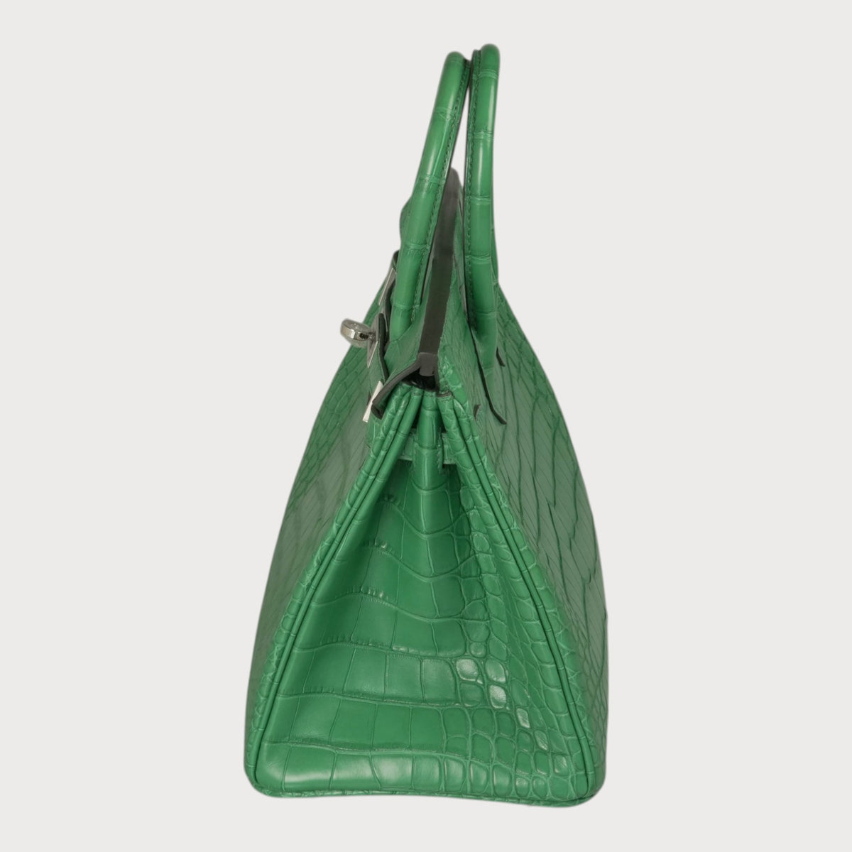 Hermès Birkin 25 Matte Crocodile Cactus Phw - view 6