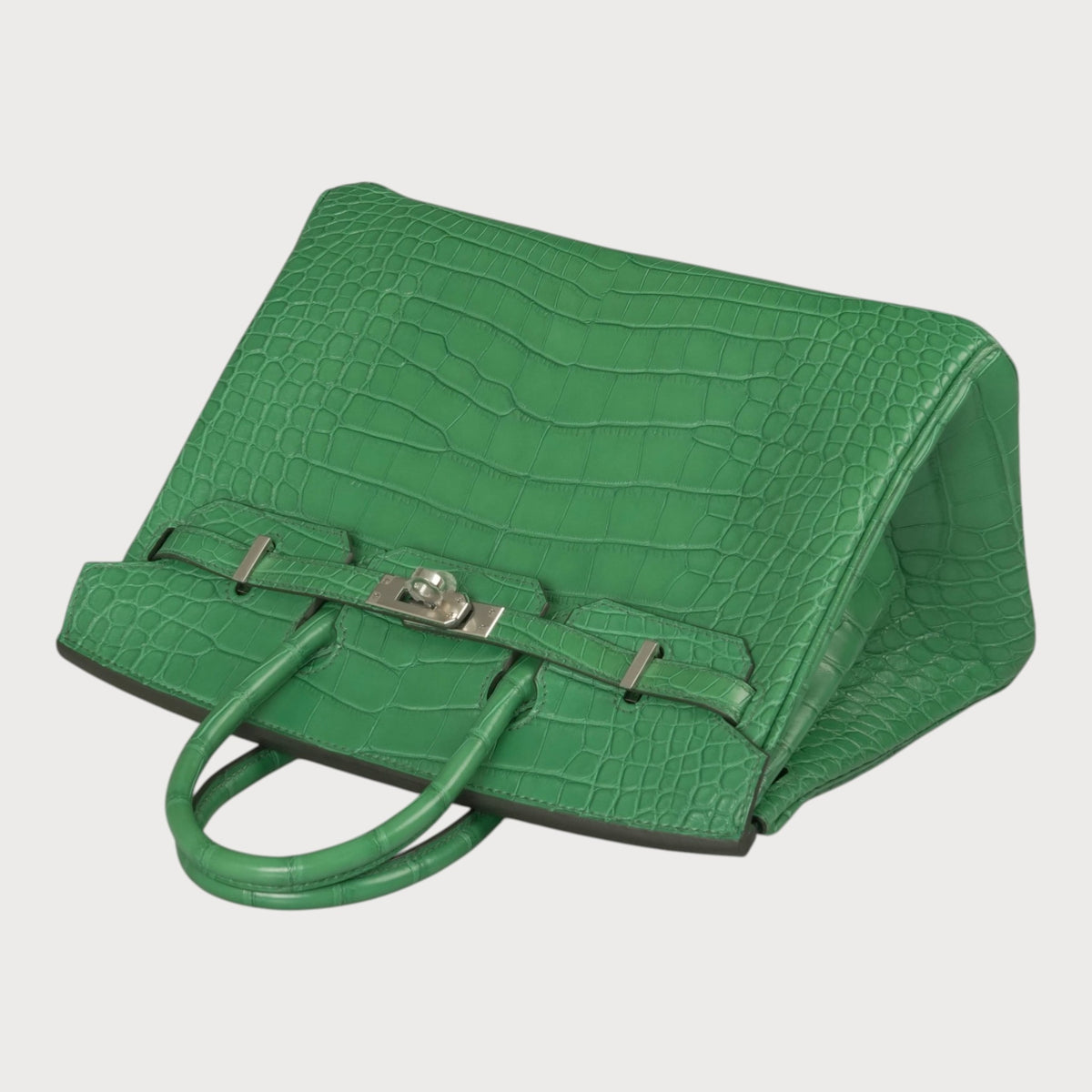 Hermès Birkin 25 Matte Crocodile Cactus Phw - view 8