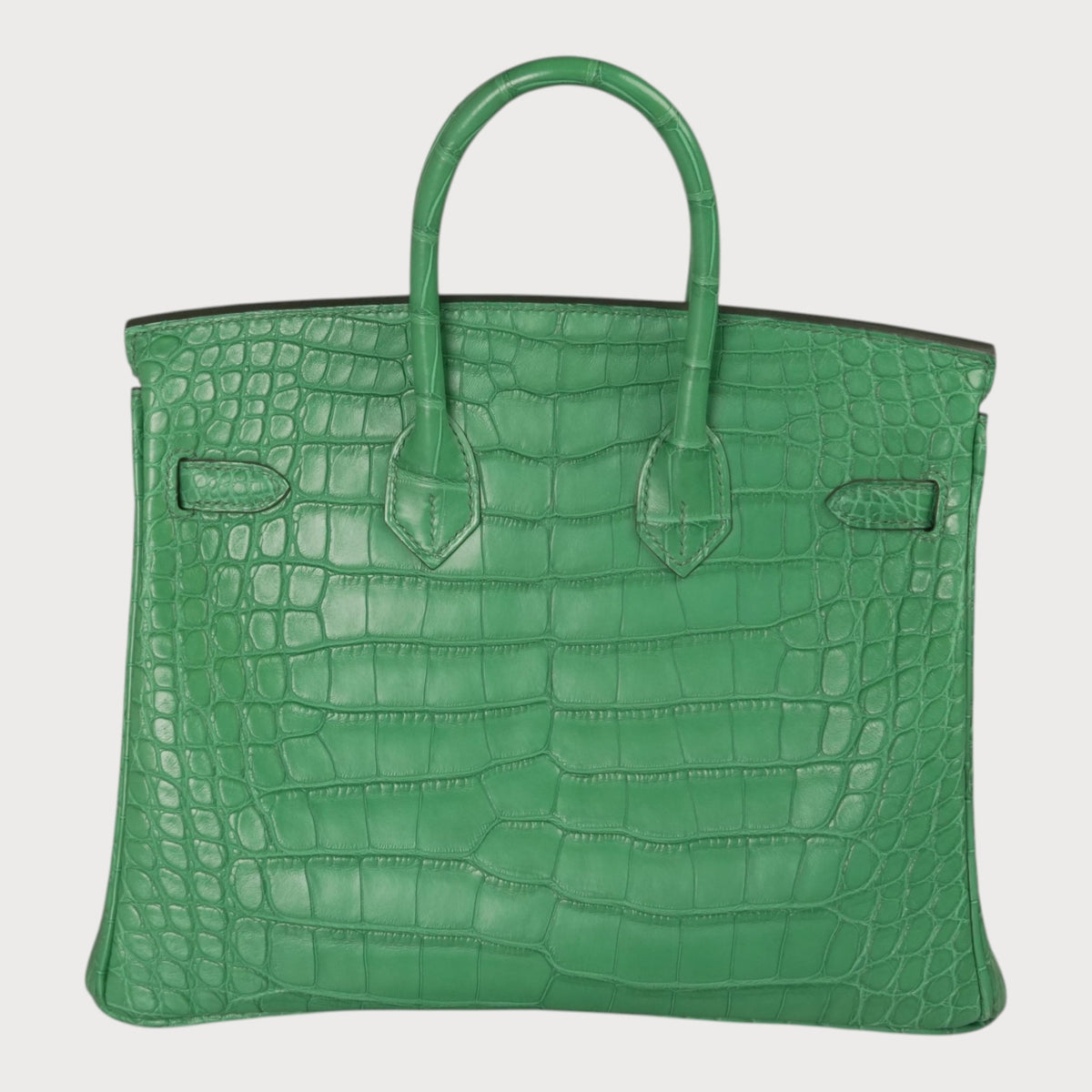 Hermès Birkin 25 Matte Crocodile Cactus Phw - view 5