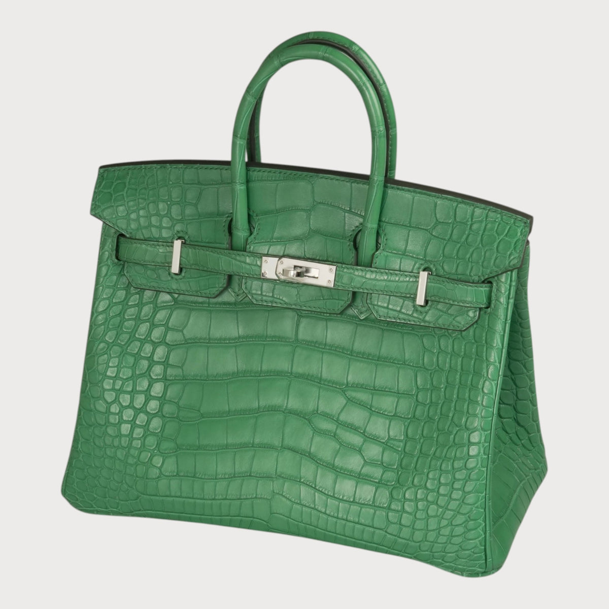 Hermès Birkin 25 Matte Crocodile Cactus Phw