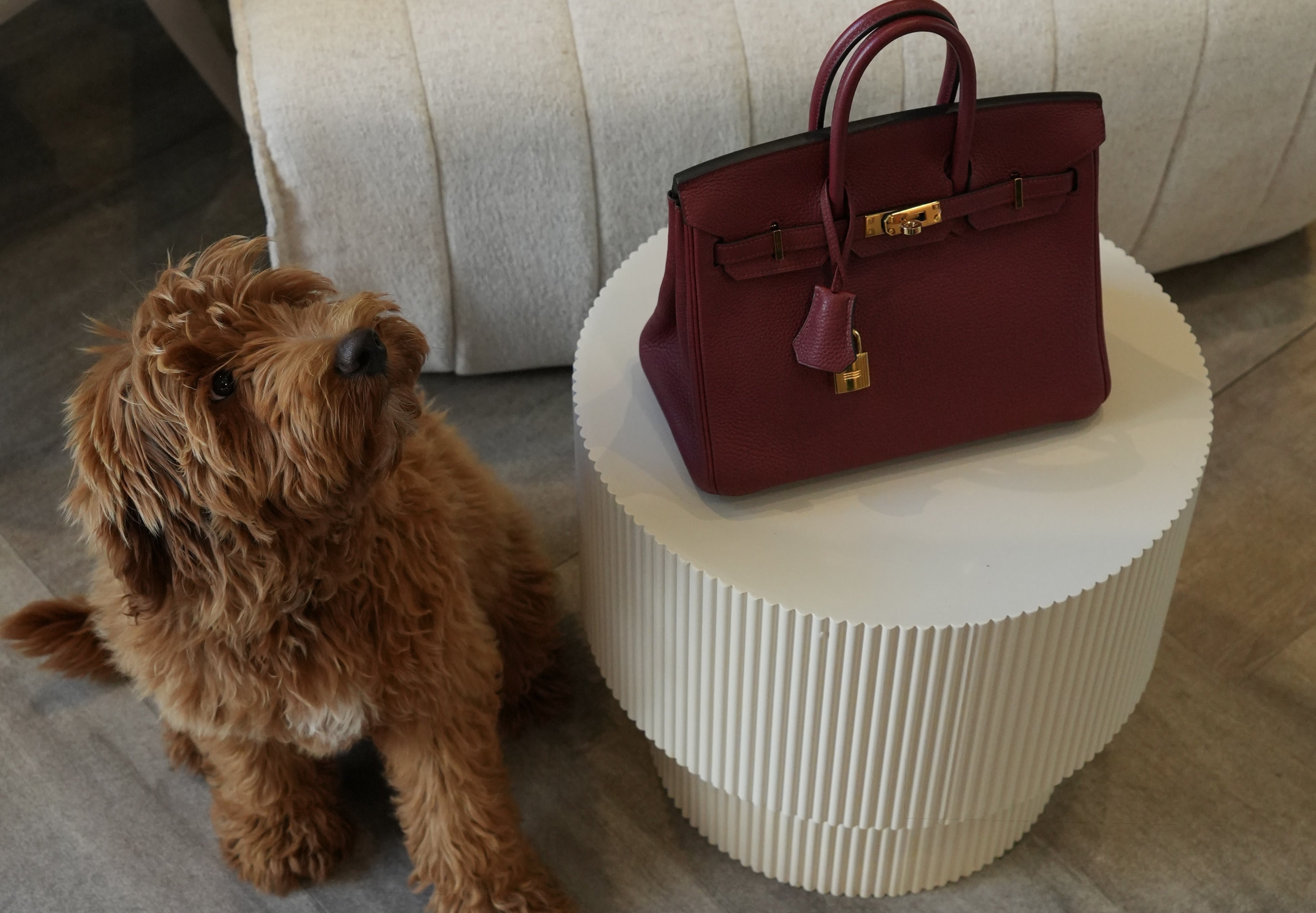Luxury watch and handbag lifestyle