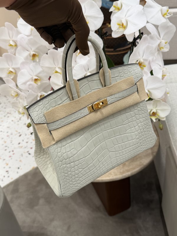 Hermes Birkin 25 Crocodile