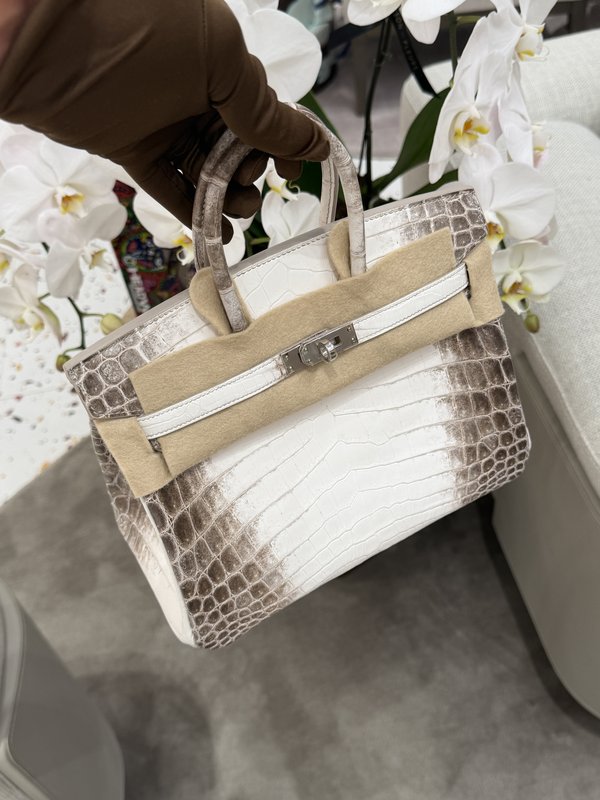 Hermes Birkin 25 Himalaya
